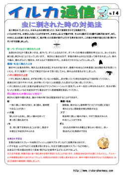 アレルギー毛虫