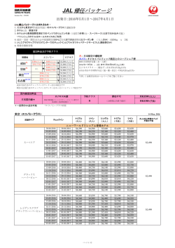 JAL 帰任パッケージ