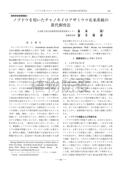 ノブドウを用いたチャノキイロアザミウマ在来系統の