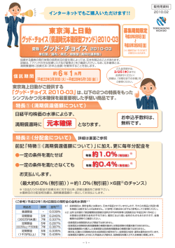 東京海上日動 グッド・チョイス（償還時元本確保型ファンド）2010