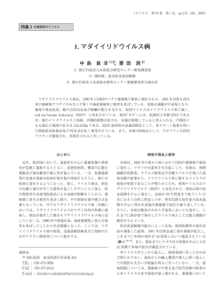 1. マダイイリドウイルス病