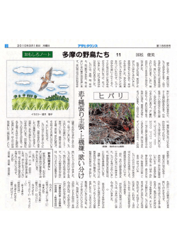 Microsoft Photo Editor