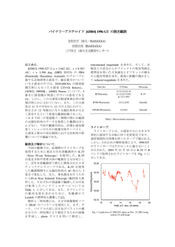 PDFファイル