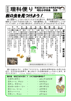 秋の虫を見つけよう！