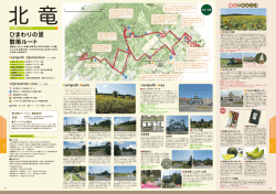 ひまわりの里 散策ルート