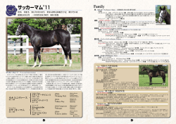 サッカーマム`11
