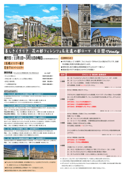 ここがポイント！ オプショナルツアー 日次 スケジュール・宿泊地・食事条件