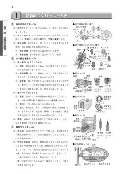 植物のつくりとはたらき 1