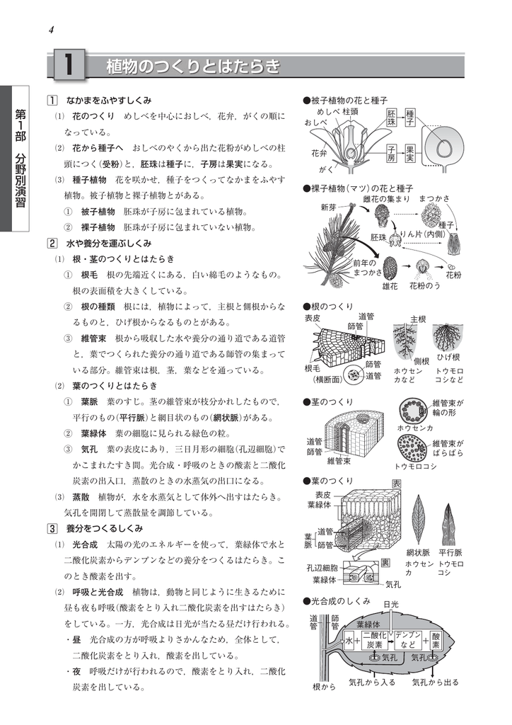 植物のつくりとはたらき 1