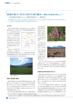 湿地の保全・再生に向けた取り組み－戦場ヶ原湿原を例として－(いであ i