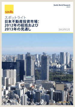2013年の見通し