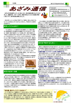 胆石を予防するために・・・ 胆石ってどんな石？ 胆石の症状・治療