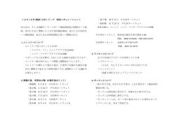 2016年 RMC 九州シリーズ 特別レギュレーション＞ 本大会は、FIA国際