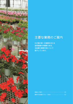 主要な業務のご案内
