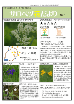 開花情報 6/21分