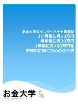 稼げる金額：30～100万円程度