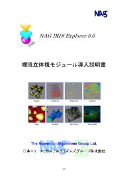 NAG IRIS Explorer 5.0 裸眼立体視モジュール導入説明書