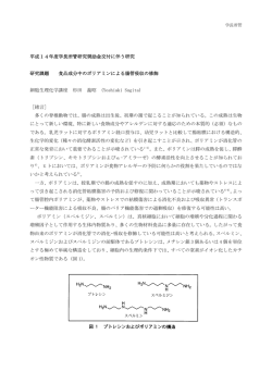 研究課題 食品成分中のポリアミンによる腸管吸収の修飾