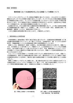 研究内容の詳細はこちら