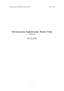 CSSView Manual
