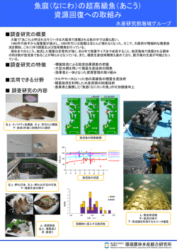 （なにわ）の超高級魚（あこう） - 大阪府立環境農林水産総合研究所