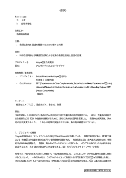 9 Yacyret 水力発電所 アルゼンチン/パラグアイ