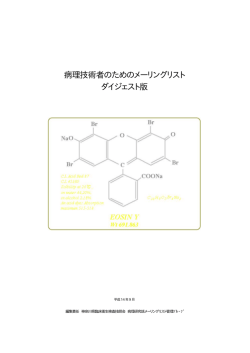 ダイジェスト版 Vol.1 PDFはこちら