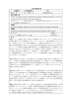 研究・調査報告書 分類番号 報告書番号 担当 B-54C 14