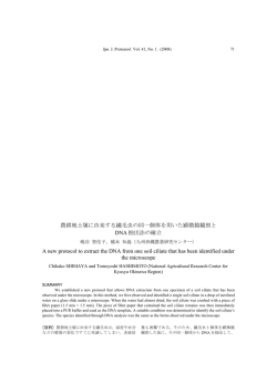農耕地土壌に由来する繊毛虫の同一個体を用いた