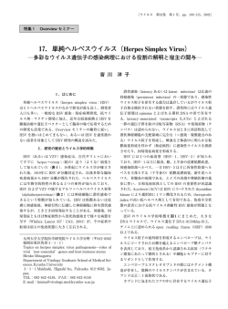 単純ヘルペスウイルス（Herpes Simplex Virus）