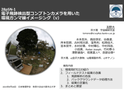 電子飛跡検出型コンプトンカメラを用いた環境ガンマ線