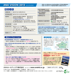 ANA VISION 2013