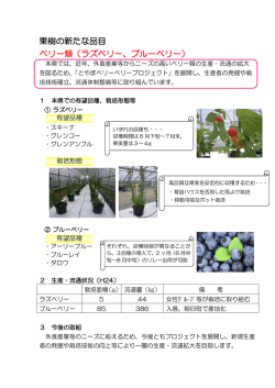 果樹の新たな品目 ベリー類（ラズベリー、ブルーベリー）