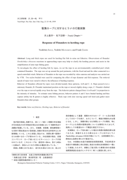駆集ロープに対するヒラメの行動実験 Response of Flounders to