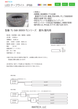 LED テープライト IP68 IMATECH , LLC 型番：TL-S68-300XX