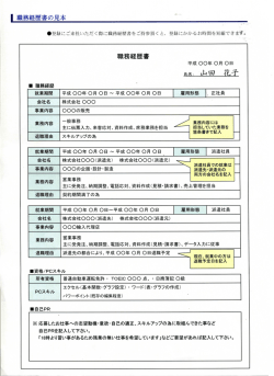 職務経歴書 平成 〇〇年 0月 〇日