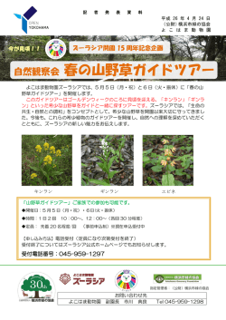 自然観察会 春の山野草ガイドツアー