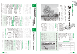 の苗木を配布します