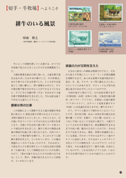 耕牛のいる風景
