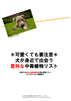 Microsoft PowerPoint - \214\242\202\252\202\342\202\316\202\242