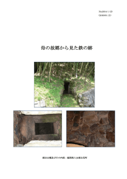 母の故郷から見た鉄の跡 - Bulk World