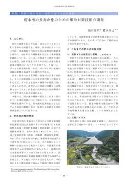 貯水池の長寿命化のための堆砂対策技術の開発