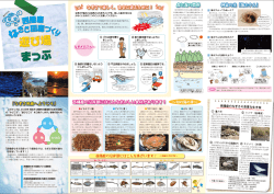 ダウンロード（PDF） - 西播磨なぎさ回廊づくり