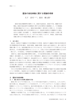 藍染の染色挙動に関する理論的考察