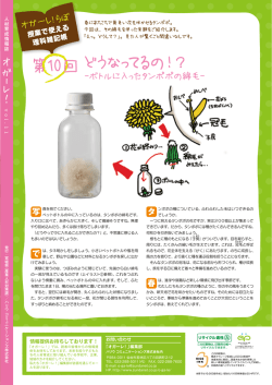 らぼ 第10回 どうなってるの！？ －ボトルに入ったタンポポの綿毛