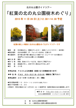 紅葉の北の丸公園樹木めぐり