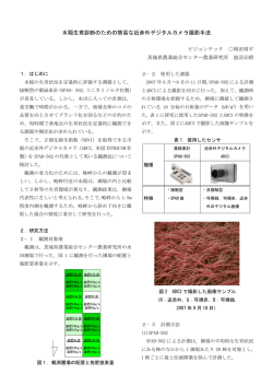 水稲生育診断のための簡易な近赤外デジタルカメラ撮影