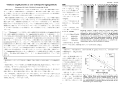 Telomere length provides a new technique for aging animals 方法