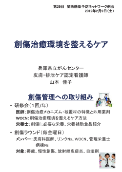 20130209 第29回 KIPNシンポジウム 創傷治癒環境を整えるケア 資料用