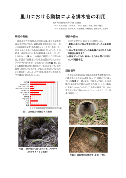 里山における動物による排水管の利用